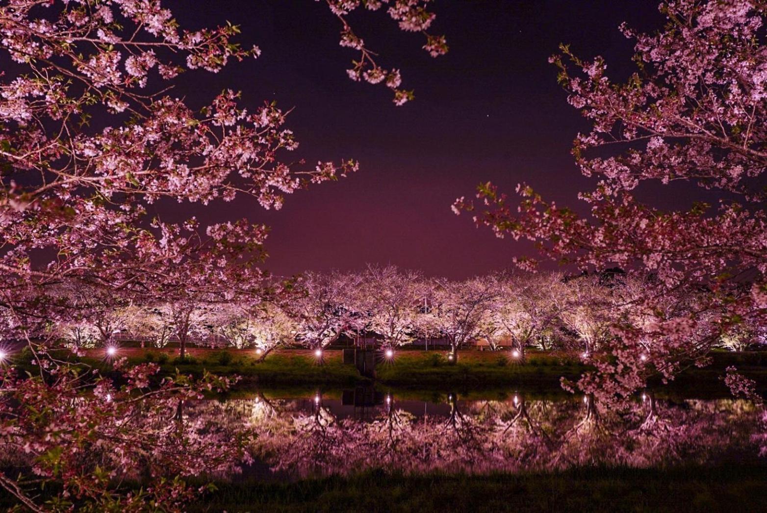 Masugataya Ryokan Tako Exteriér fotografie